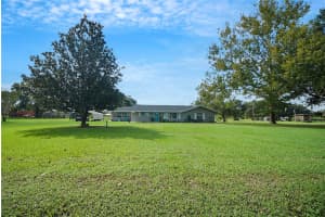 310 160TH STREET, SUMMERFIELD, FL 34491 Sold 01/22/25