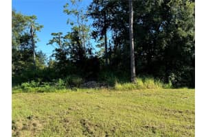 638 JAGUAR COURT, KISSIMMEE, FL 34759 - MLS#MFRG5088156