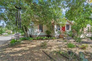 652 TREMAIN STREET, MOUNT DORA, FL 32757 Sold 12/04/24