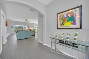 3689 ARLINGTON RIDGE BOULEVARD, LEESBURG, FL 34748 Sold 02/21/25