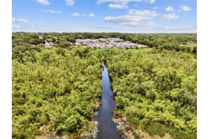 1180 DORA PARC LANE, MOUNT DORA, FL 32757 Sold 07/11/25