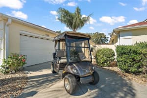 1434 ALMANZA DRIVE, THE VILLAGES, FL 32159 Sold 11/22/24