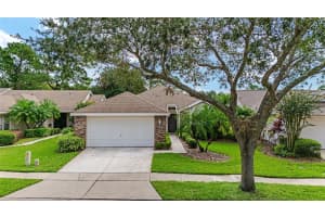 1812 STAFFORD SPRINGS BOULEVARD, MOUNT DORA, FL 32757 Sold 02/25/25