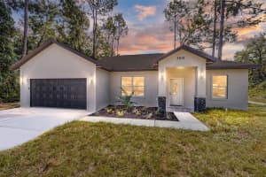 3610 131ST LANE, BELLEVIEW, FL 34420 Sold 08/06/25