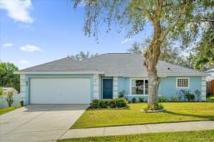 136 CARLYLE STREET, CLERMONT, FL 34715 Sold 12/31/24