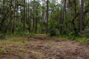 KIJIK TRL, GROVELAND, FL 34736 Sold 05/16/25