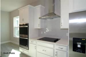 17434 CRISP APPLE LANE, LAND O LAKES, FL 34638 Sold 10/03/25