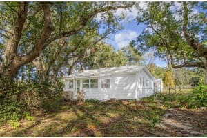 22545 WILL MURPHY ROAD, UMATILLA, FL 32784 Sold 01/31/25