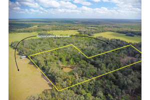 22545 WILL MURPHY ROAD, UMATILLA, FL 32784 Sold 01/31/25