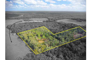 22545 WILL MURPHY ROAD, UMATILLA, FL 32784 Sold 01/31/25