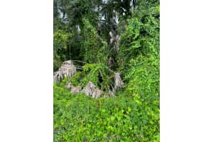 W BURLEIGH BLVD, TAVARES, FL 32778 - MLS#MFRG5088917