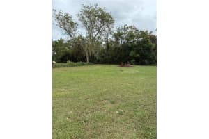 15518 STATE ROAD 19, GROVELAND, FL 34736 - MLS#MFRG5088946