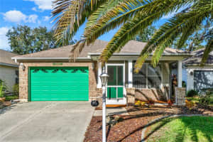 25209 CRANES ROOST CIRCLE, LEESBURG, FL 34748 Sold 03/03/25