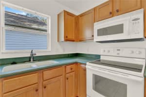 25209 CRANES ROOST CIRCLE, LEESBURG, FL 34748 Sold 03/03/25
