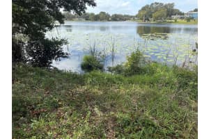 LUANA DR, LEESBURG, FL 34788 - MLS#MFRG5089012
