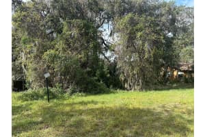 LUANA DR, LEESBURG, FL 34788 - MLS#MFRG5089012