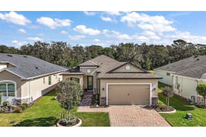 8456 BRIDGEPORT BAY CIRCLE, MOUNT DORA, FL 32757 Sold 02/10/25