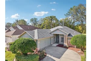 8001 ARCADIAN COURT, MOUNT DORA, FL 32757 Sold 02/27/25
