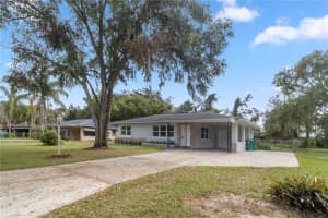 294 DICIE AVENUE, EUSTIS, FL 32726 Sold 01/22/25