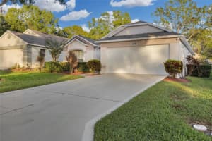 3819 DOUNE WAY, CLERMONT, FL 34711 Sold 12/05/24