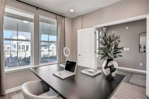 17422 CRISP APPLE LANE, LAND O LAKES, FL 34638 Sold 03/21/25