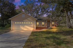 40229 PALM STREET, LADY LAKE, FL 32159 Sold 12/13/24