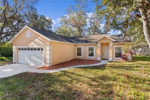 40229 PALM STREET, LADY LAKE, FL 32159 Sold 12/13/24