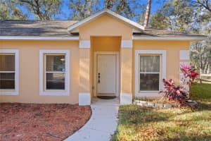 40229 PALM STREET, LADY LAKE, FL 32159 Sold 12/13/24
