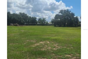 36534 CHAIN OF LAKES ROAD, GRAND ISLAND, FL 32735 Sold 03/31/25