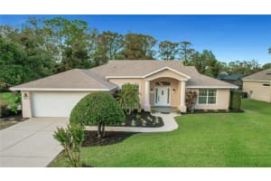 12425 PINE ISLAND DRIVE, LEESBURG, FL 34788 Sold 04/09/25