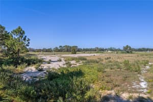 20280 SHORELINE RANCHES LANE, UMATILLA, FL 32784 - MLS#MFRG5089437
