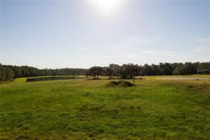 38361 LAKE MEADOW AVENUE, UMATILLA, FL 32784 - MLS#MFRG5089460