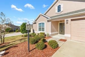 1429 BLUEBEARD COURT, THE VILLAGES, FL 32163 Sold 10/21/25