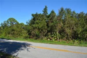 739 HIGHLANDS LAKE DRIVE, LAKE PLACID, FL 33852 - MLS#MFRG5089509
