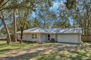 40335 PALM STREET, LADY LAKE, FL 32159 Sold 05/19/25