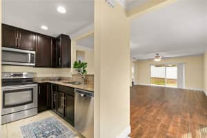 30529 LIPIZZAN TERRACE, MOUNT DORA, FL 32757 Sold 04/24/25