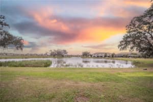 5318 DRAGONFLY DRIVE, WILDWOOD, FL 34785 Sold 03/20/25
