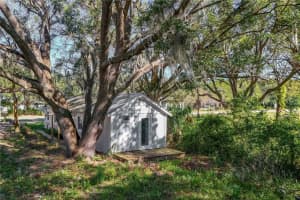 300 COLLINS STREET, UMATILLA, FL 32784 Sold 01/10/25