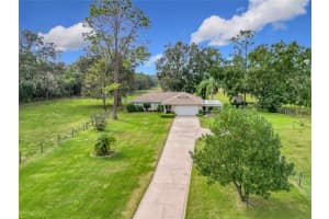 11036 CR 229, OXFORD, FL 34484 Sold 02/18/25