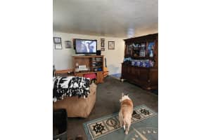 3 LEMON STREET, BEVERLY HILLS, FL 34465 - MLS#MFRG5089708