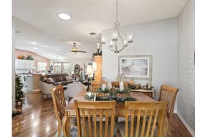 1315 GREENVILLE WAY, THE VILLAGES, FL 32162 Sold 03/20/25