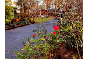 32628 GERE LANE, SORRENTO, FL 32776 Sold 02/24/25