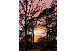 32628 GERE LANE, SORRENTO, FL 32776 Sold 02/24/25