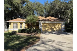 113 COSTA MESA DRIVE, THE VILLAGES, FL 32159 Sold 02/23/25