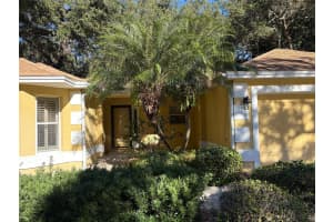 113 COSTA MESA DRIVE, THE VILLAGES, FL 32159 Sold 02/23/25