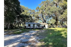 243 GRIFFIN VIEW DRIVE, LADY LAKE, FL 32159 Sold 04/15/25