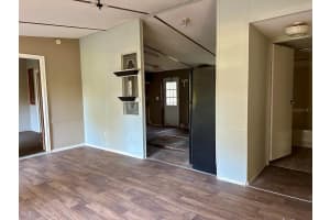 243 GRIFFIN VIEW DRIVE, LADY LAKE, FL 32159 Sold 04/15/25