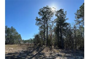 SW 87TH AVE, DUNNELLON, FL 34432 - MLS#MFRG5089935