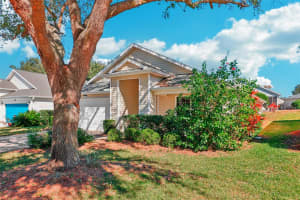25004 CRANES ROOST CIRCLE, LEESBURG, FL 34748 Sold 04/07/25
