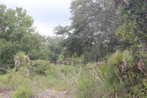 NW 304TH ST, OKEECHOBEE, FL 34972 - MLS#MFRG5090060